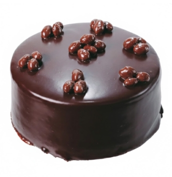 6-9 Kişilik Çikolatalı Butik Lezzet Serisi Tat Adana pasta